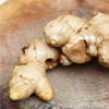 Ginger root extract - Gastro ZEN Composition 